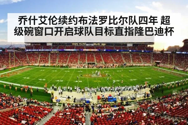 NFL football stadium action