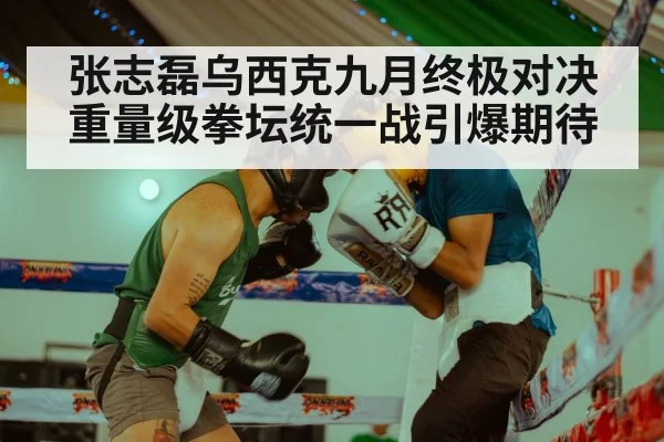 张志磊乌西克九月终极对决 重量级拳坛统一战引爆期待